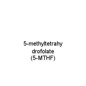 5-methyltetrahydrofolate (5-MTHF)